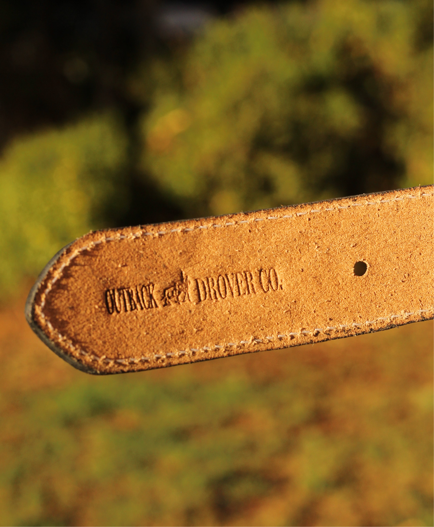 Drover Co. Gibb Belt