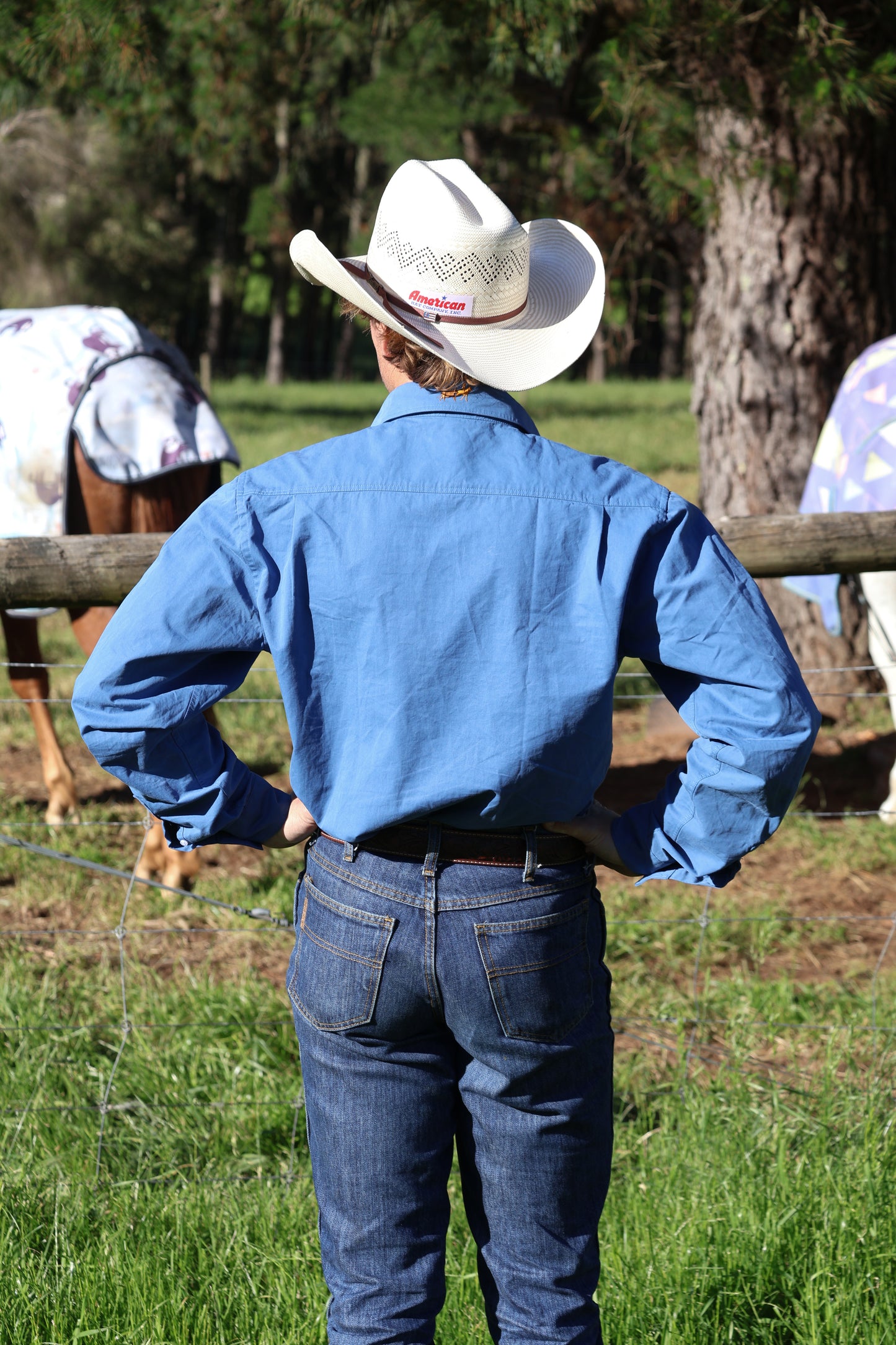 Browns Range Full Button Workshirt