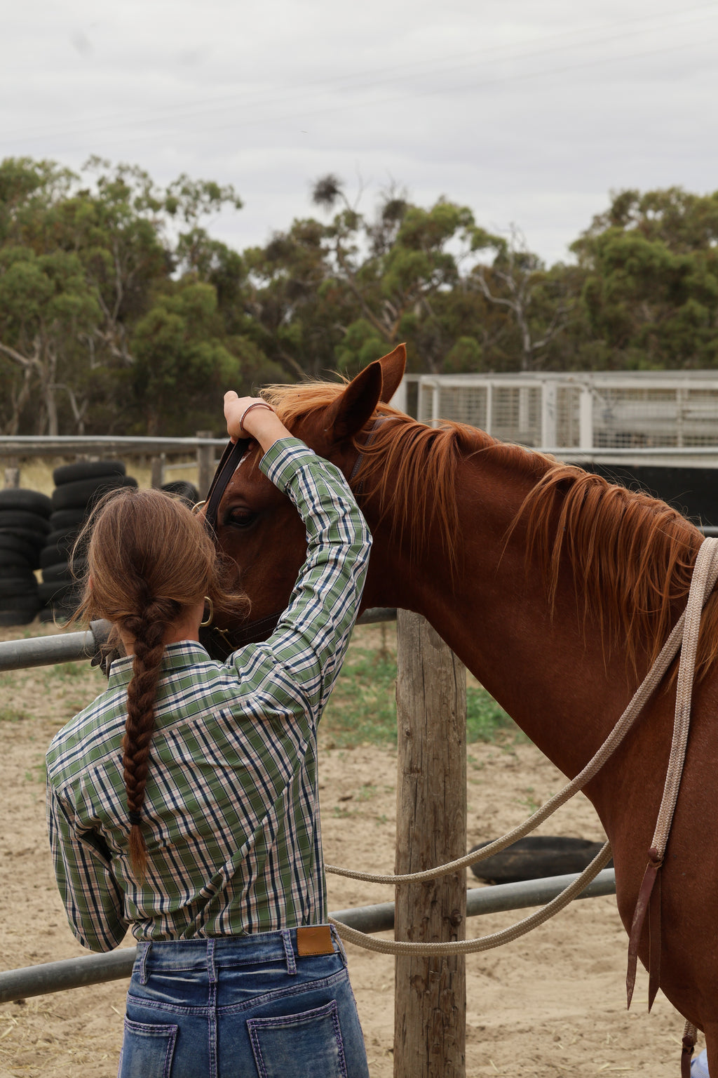 Ladies Rider Series Darwin River Shirt