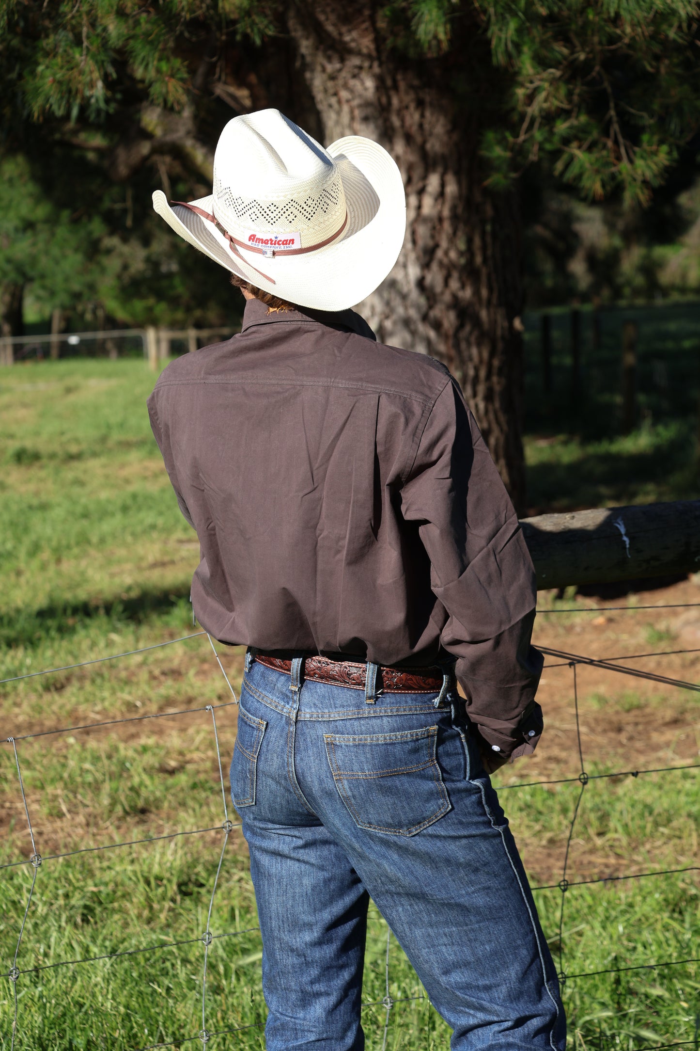 Dark Bay Full Button